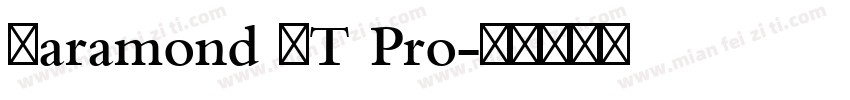 Garamond MT Pro字体转换